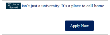 Apply Now email example